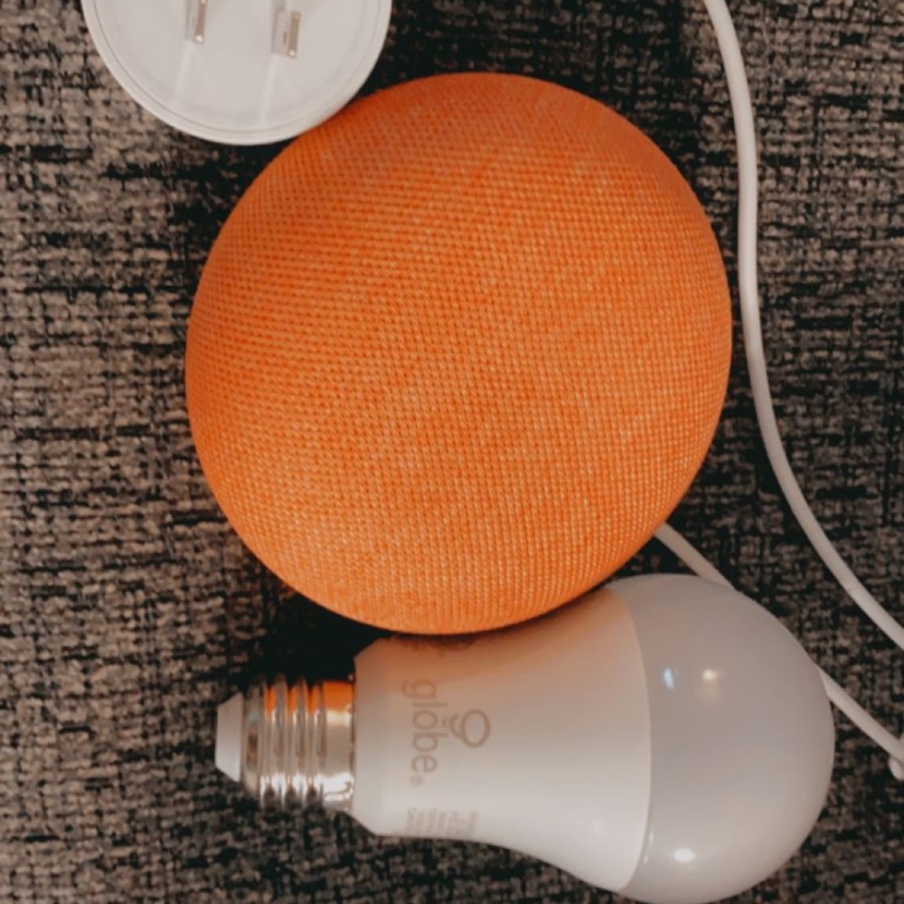 Google home mini and smart light